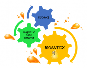 BIOANTIOX logo